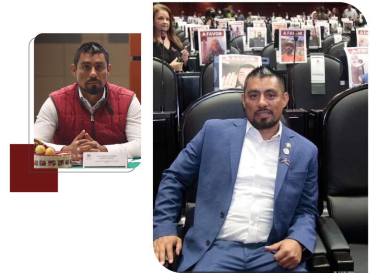 Dip. Alfredo Aurelio González Cruz LXV LEGISLATURA